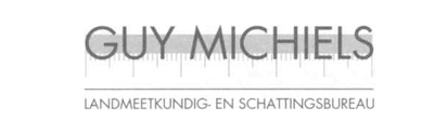 Guy Michiels Logo Insight